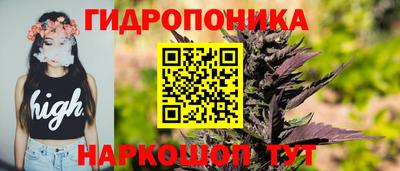 сатива Ирбит